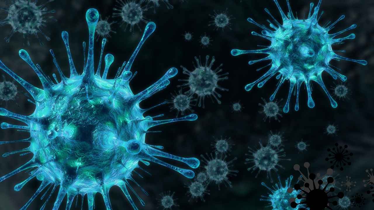 Nipah Virus